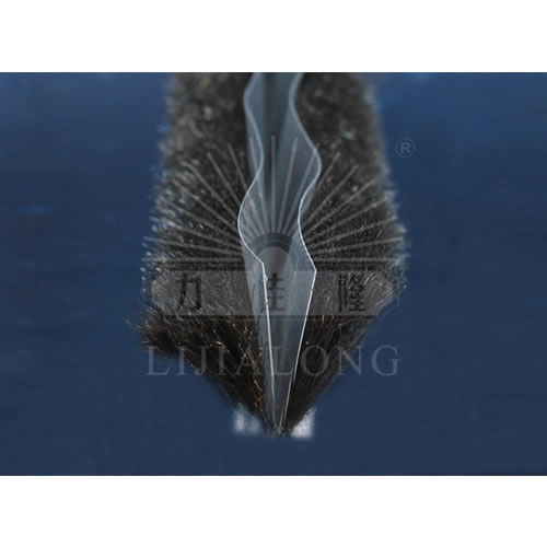 �T����Ƭ��(ji��)��ë�l