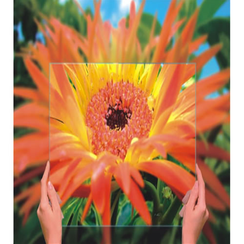 AR��͸�p���䲣��