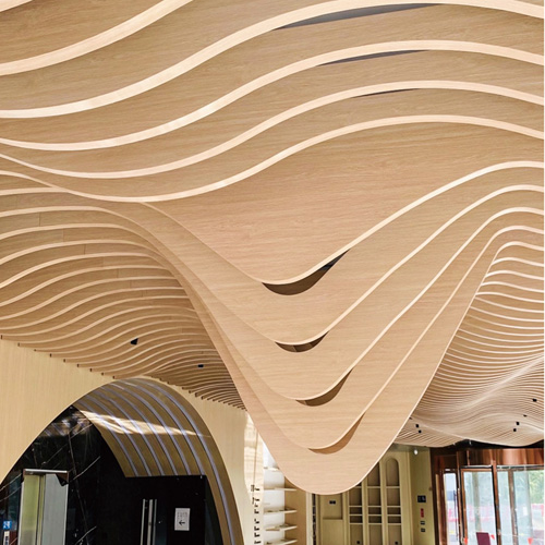 �����X��ͨϵ��