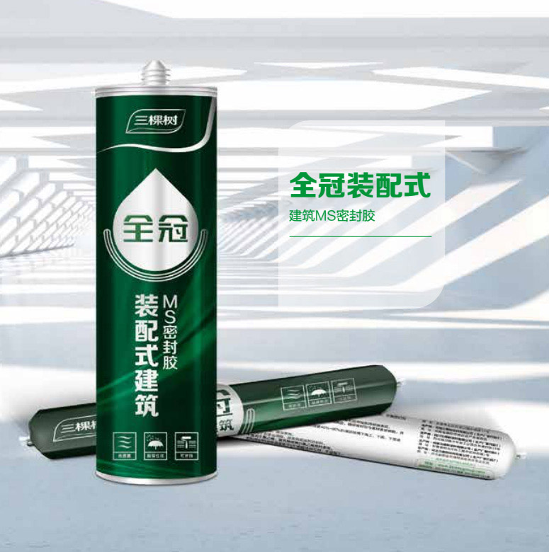 ȫ���b��ʽ ����MS�ܷ��z