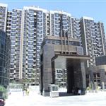 �����Ĵ��