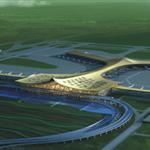 �����C��