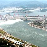 ���{����