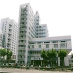 �����еڶ������tԺ