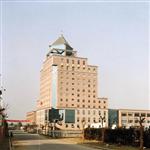 �Ͼ�ؔ�����