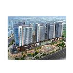 ���(y��ng)��(gu��)�H���Q(m��o)��