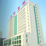 �L����������