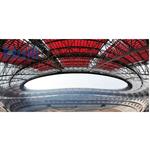 ɽ���w������