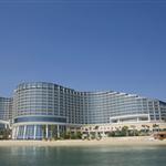 ����ϲ���� �Ƶ�