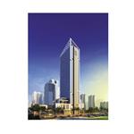 �����C���������