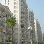 ��خ������ߗ