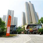 �Lɳ������ɽ���H