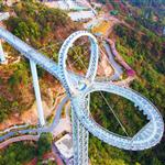 �V���S�v�{��������