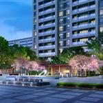 �P���A�����\��