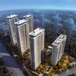 �Ͼ����މ��Ї���