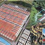 ���_��ԣ���f