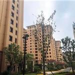 ���Ҹ۰����B(y��ng)��Ժ