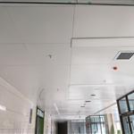 �е��Ѓ�ͯ�tԺ